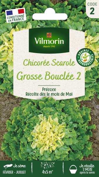 Potagères - Chicorée Scarole Grosse Bouclée 2 - PACKAGING_RECTO
